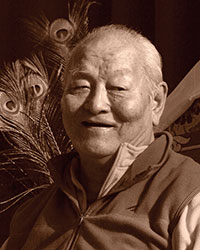 Thinley Norbu Rinpoche Thinley Norbu Rinpoche