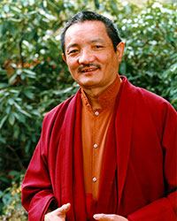 Tulku Thondup Rinpoche Tulku Thondup Rinpoche
