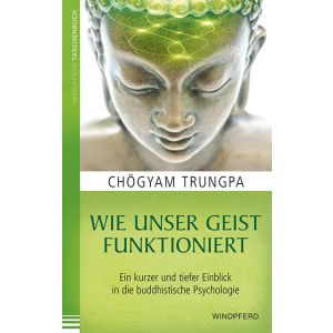 Wie unser Geist funktioniert