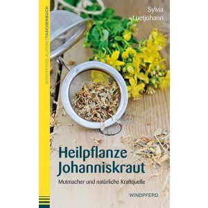 Heilpflanze Johanniskraut